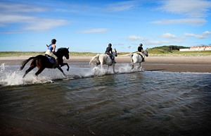 Horse Riding