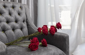 Roses on Chair