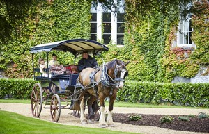 Jaunting Car through the Gardens